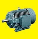 Standard three-phase motors with squirrel cage rotor
